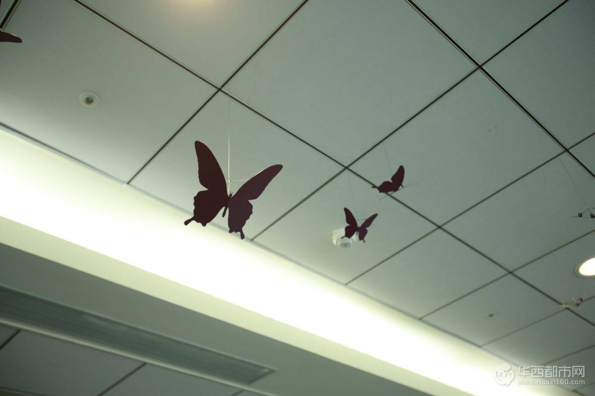 【台湾:】台北朝九晚五(亲子、深度游、攻略、