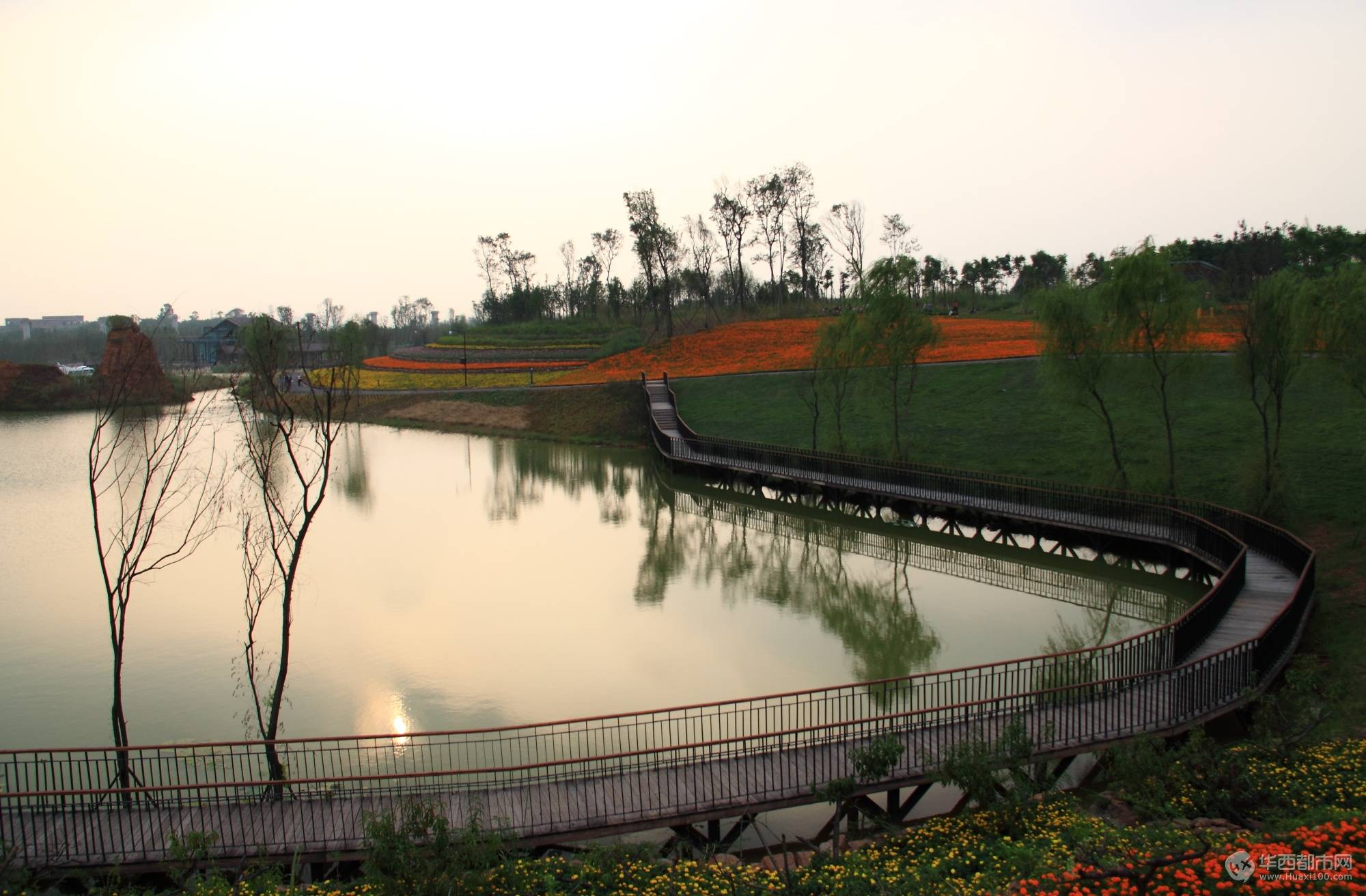 三圣乡白鹭湾湿地公园