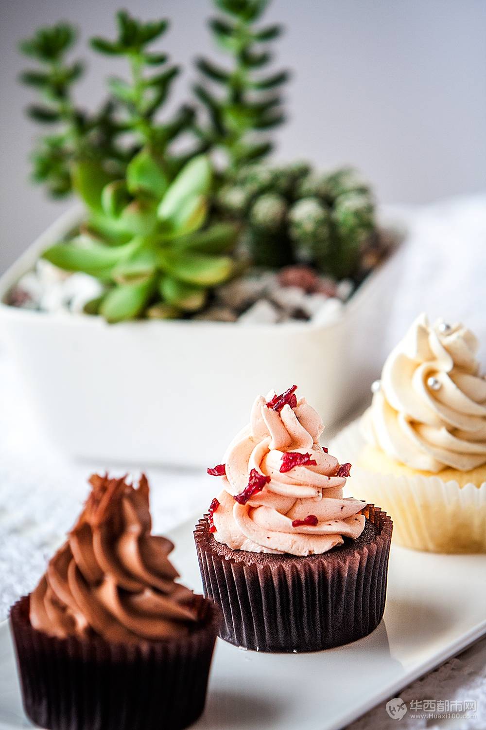 pitta cupcakes杯子蛋糕(东郊记忆店-华西都市网